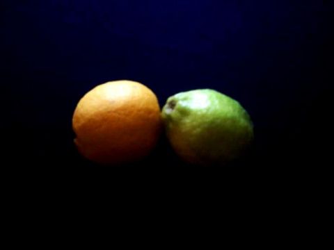 CITRON VERT CITRON JAUNE